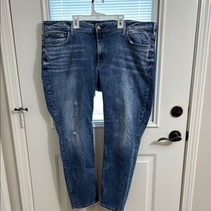 Women’s Silver Skinny Jeans Size 22